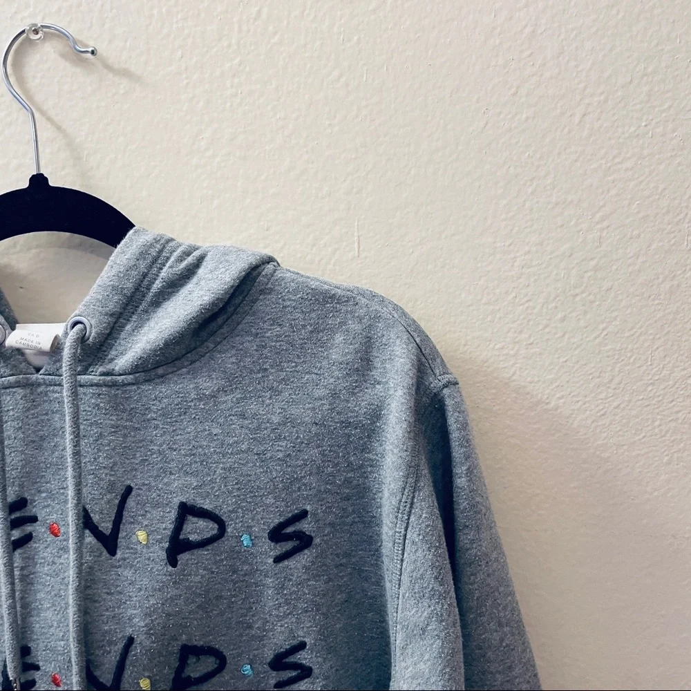 H&M Light Gray Warner Brothers FRIENDS embroidered Sweatshirt Hoodie Size L - Picture 5 of 11